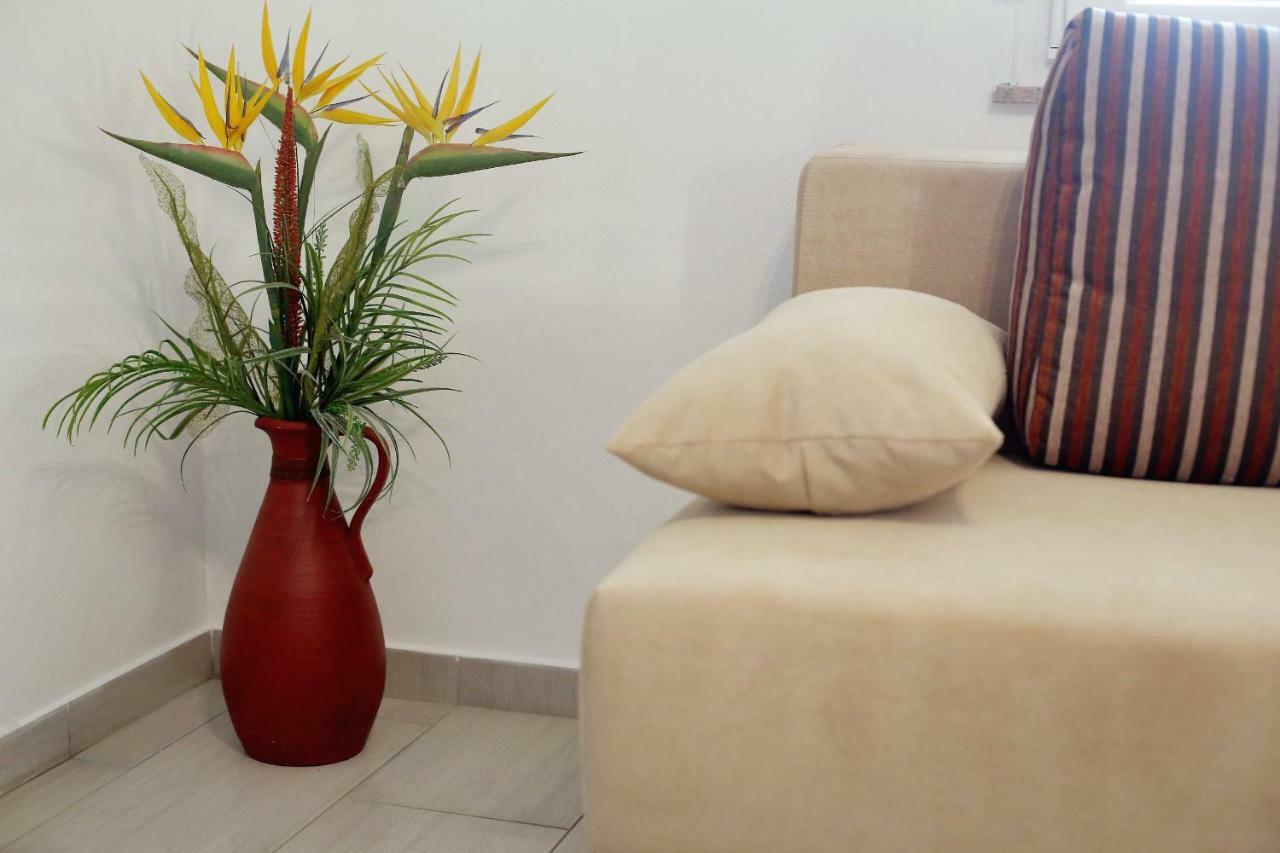 Apartment Palma Bibinje Exterior photo